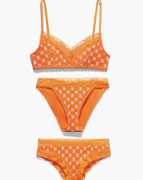 veraking star adult pics