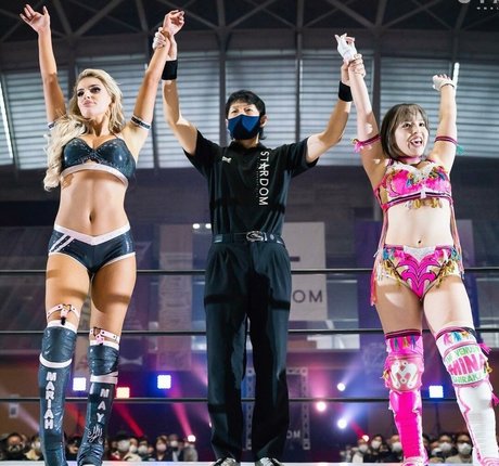 Mina Shirakawa pornstar hot image