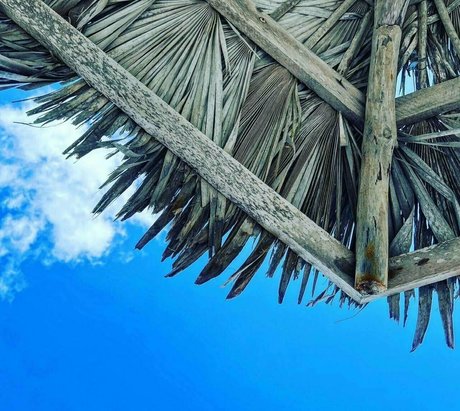 princesspastah pornstar sexy archive