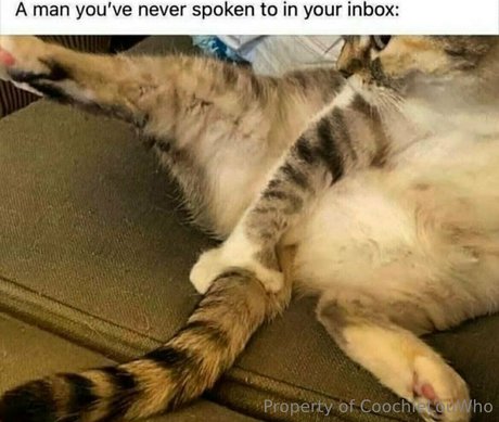 coochielouwho pretty star pictures