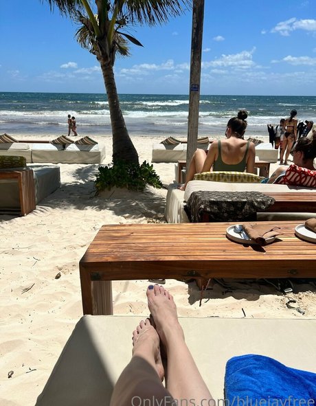 bluejayfree porn actress pic