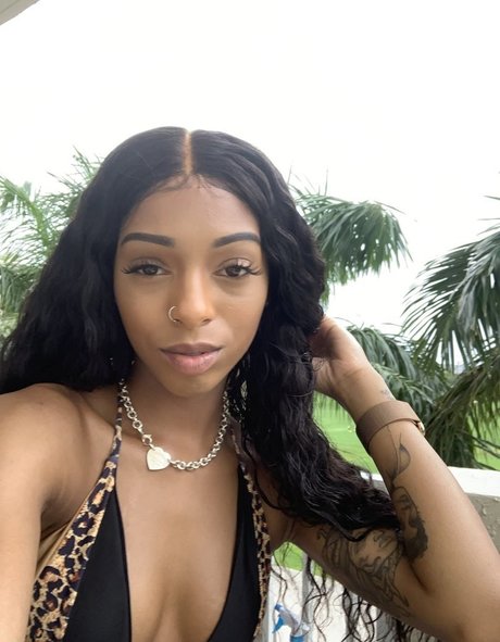 Briabackwoods star beautiful galleries