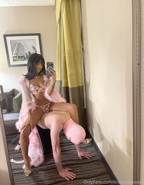 Briabackwoods star art picture