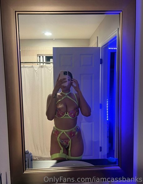 iamcassbanks star porn pic