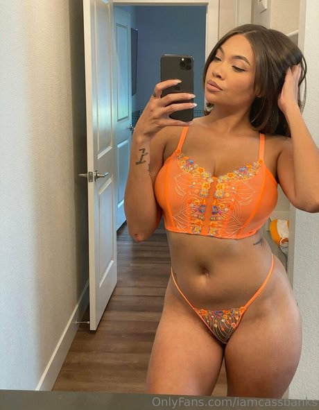 iamcassbanks free pornstar pictures