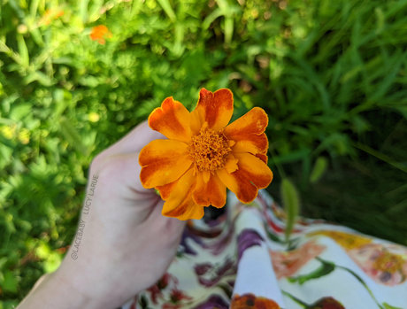 ginger teen onlyfans sex images