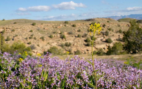 bikini fuck onlyfans beautiful images