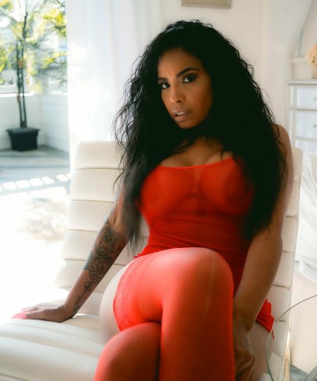 havanaginger high quality model gallery