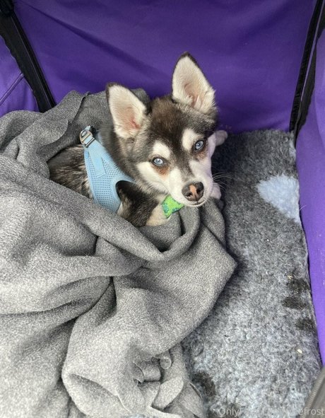 brazilian big tits onlyfans naked image