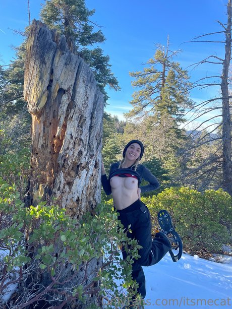 underground onlyfans xxx picture