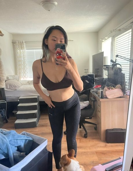 Harriet Sugarcookie Profile photo