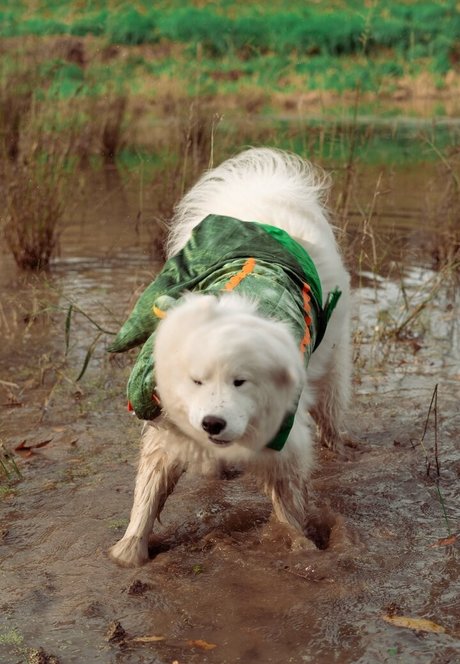 small dick onlyfans art naked pic