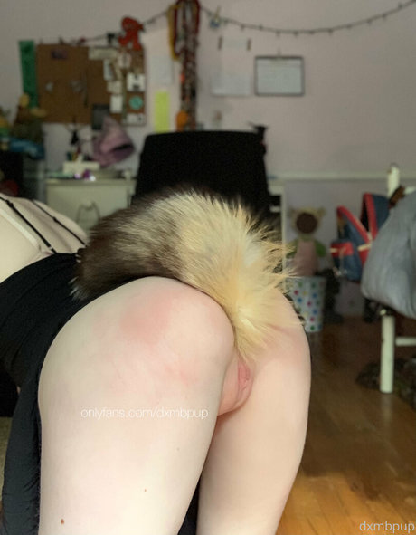 dxmbpup star free galleries