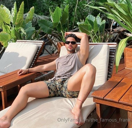 the famous frank pornstar art archive