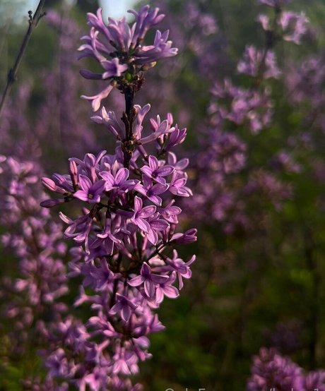 helga1 model best photo