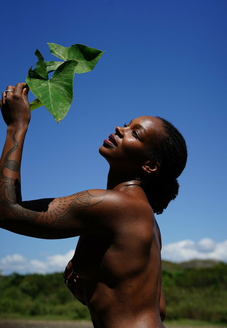 Audri Asana pornstar nudes pics