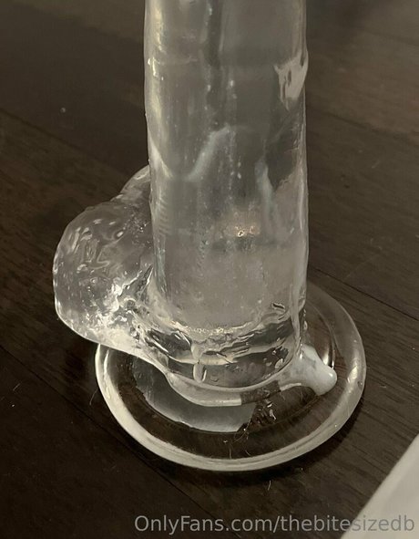 thebitesizedb pornstar sex galleries