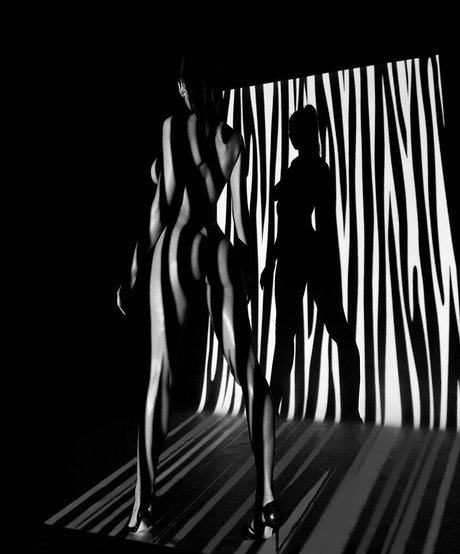 Voronina model perfect pictures