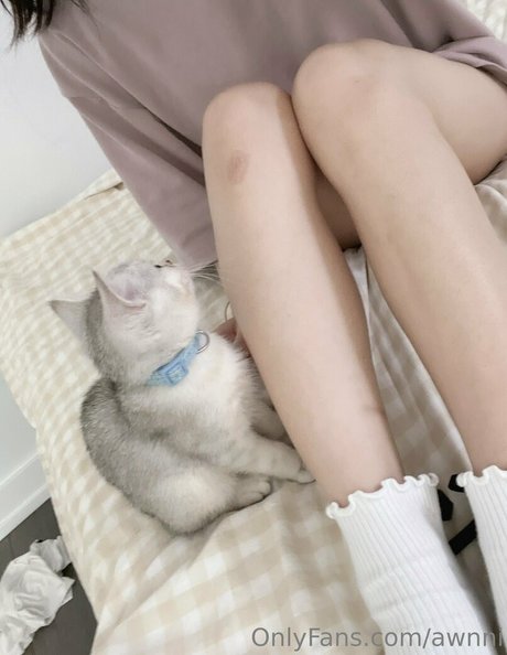 awnni nice pornstar img