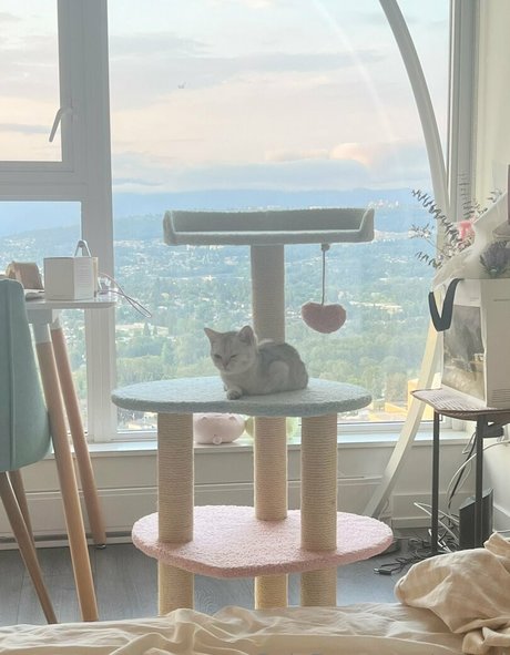 awnni hd model galleries