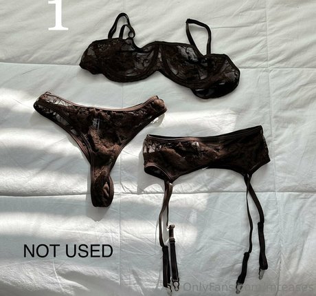 mteases pornstar nudes galleries