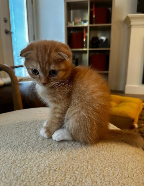 blonde small tits onlyfans nude images