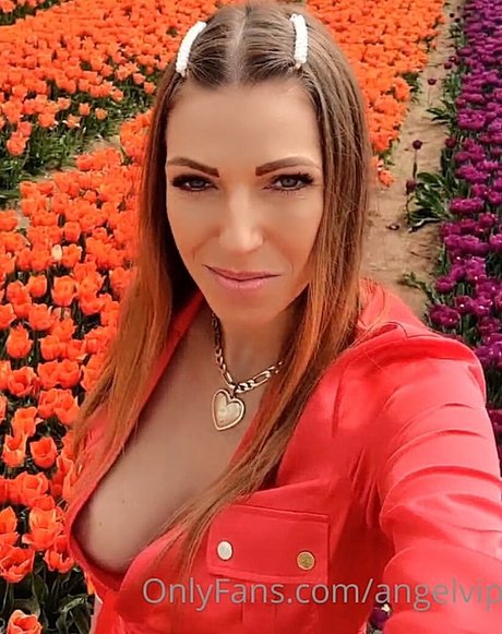 Angel Vip free actress picture