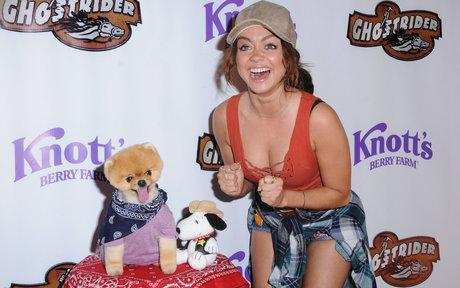 shemale handjob onlyfans sexy naked archive