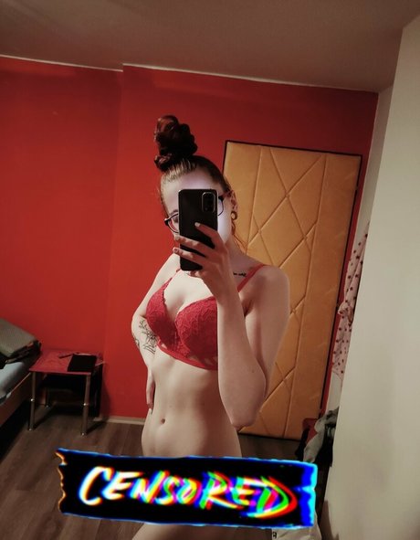 ginnas 20 perfect star pictures