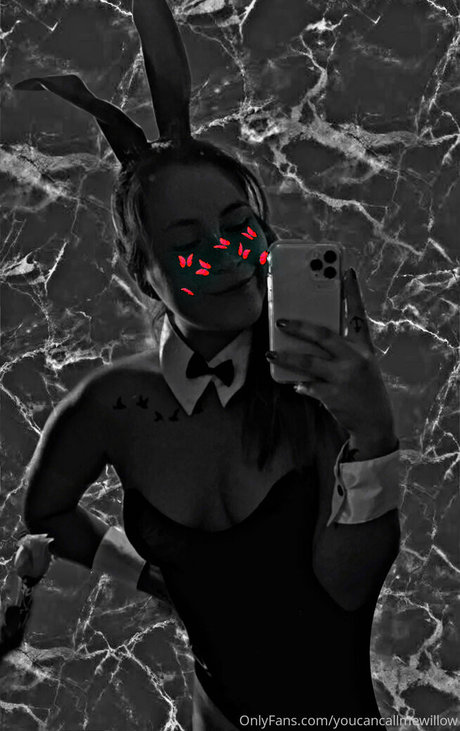 youcancallmewillow beautiful model image