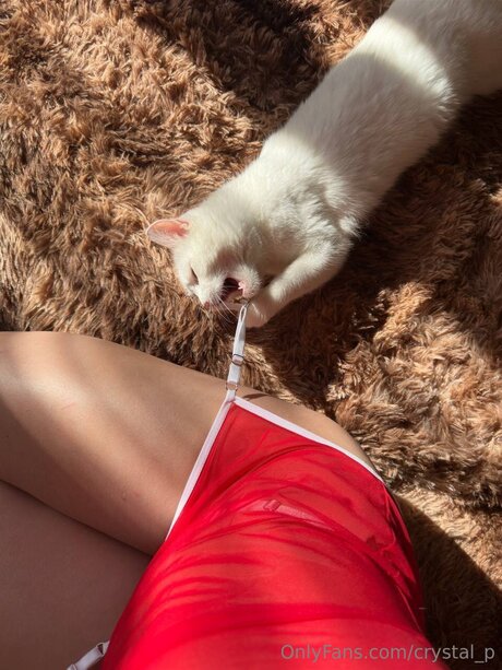 Crystal P star pornographic picture