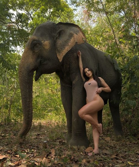 Thay Lupi Profile photo