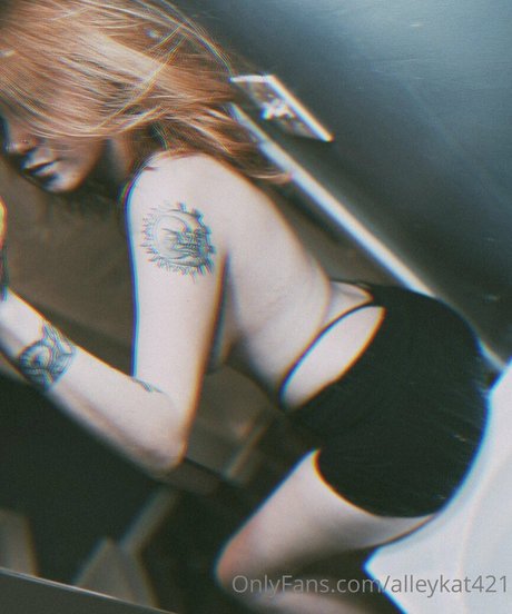 Alleykat Profile photo