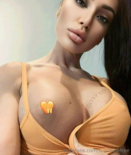 sunshinefree star perfect image