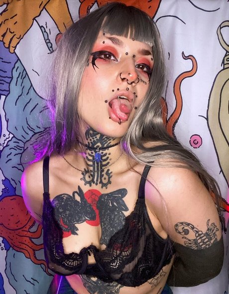 Borderwaifu high quality actress archive