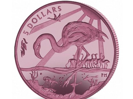 fat mature onlyfans free img