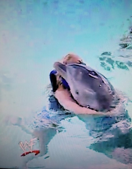 hot ebony onlyfans xxx pics