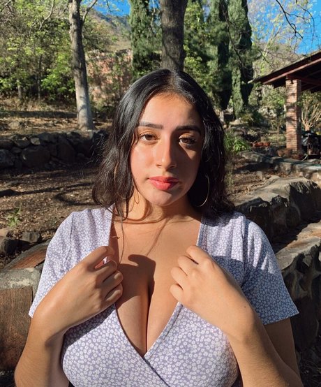 baelib model galleries