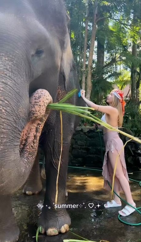 miafitz model adult img