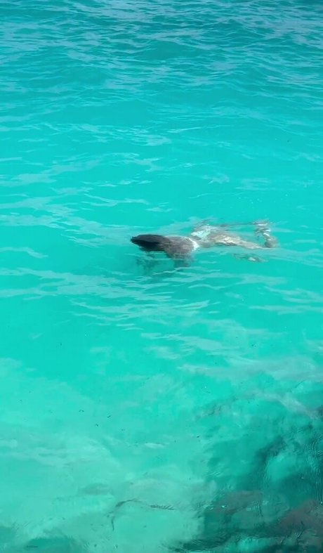 asian tattoo onlyfans sexy img