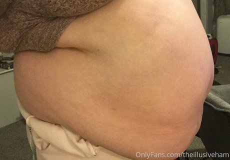 theillusiveham model nice galleries