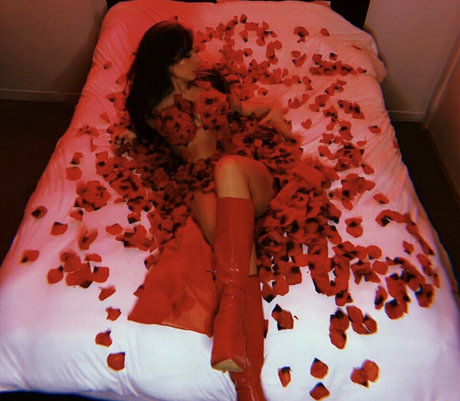 vindylou top pornstar gallery