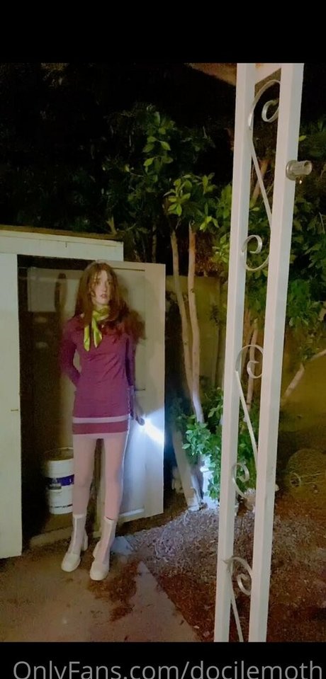 docilemoth free model picture