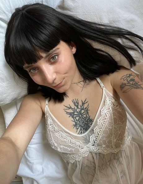 alazeya star adult gallery