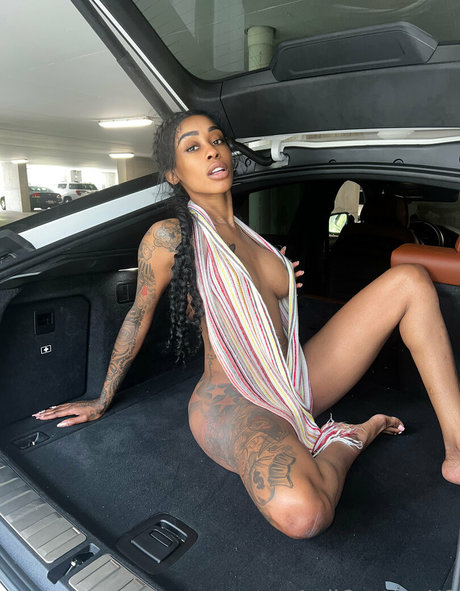 jodicouturexo perfect model galleries