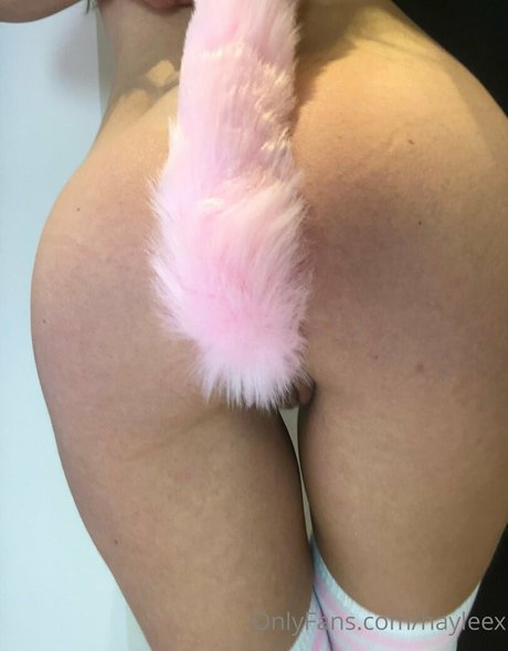 Hayleex hot pornstar img