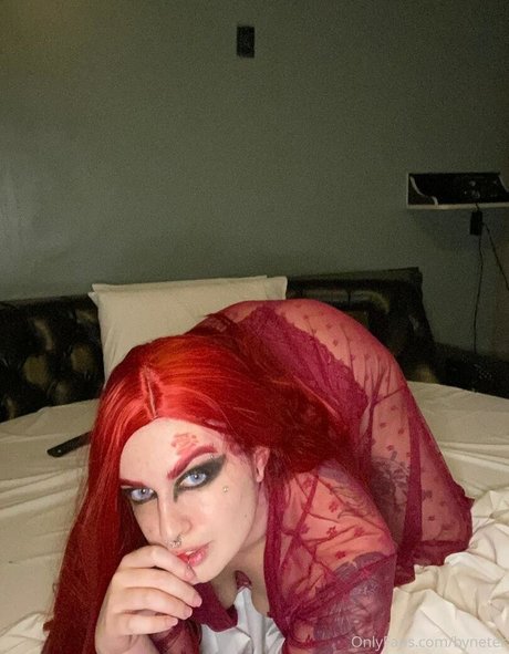 netersg model best archive