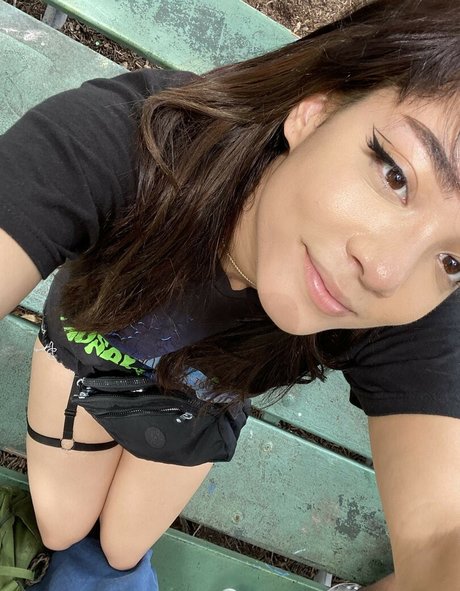 Cinnabrit star hd photos