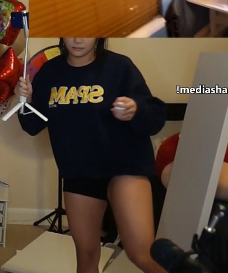 Cinnabrit top star pic