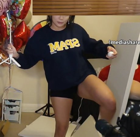 Cinnabrit model top archive